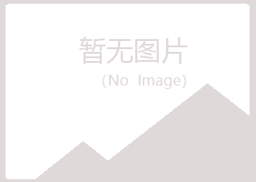 东兴区冰夏工程有限公司